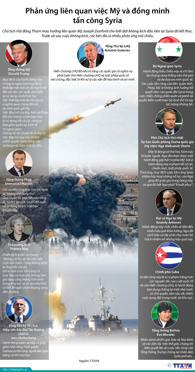 Điểm lại phản ứng của các nước khi Mỹ và đồng minh tấn công Syria ảnh 1